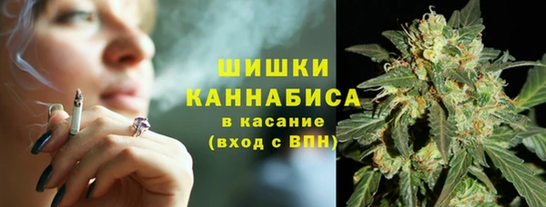 хмурый Дмитров