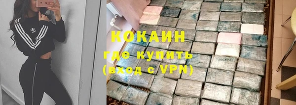 хмурый Дмитров
