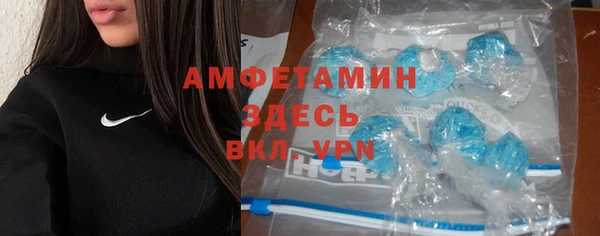 хмурый Дмитров