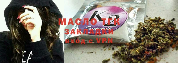 хмурый Дмитров