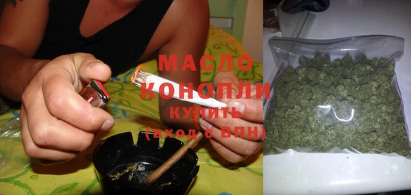 хмурый Дмитров