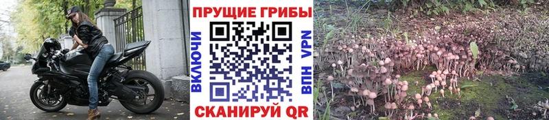 Галлюциногенные грибы прущие грибы наркота Теберда